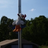 bocholt005