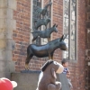DET163